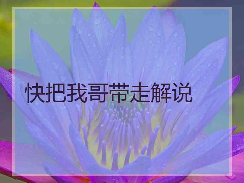 快把我哥带走解说