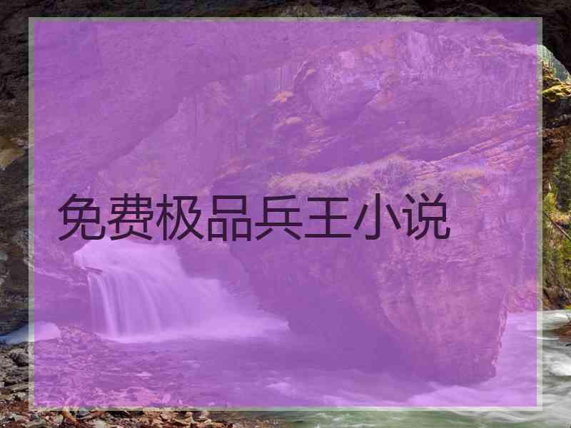 免费极品兵王小说