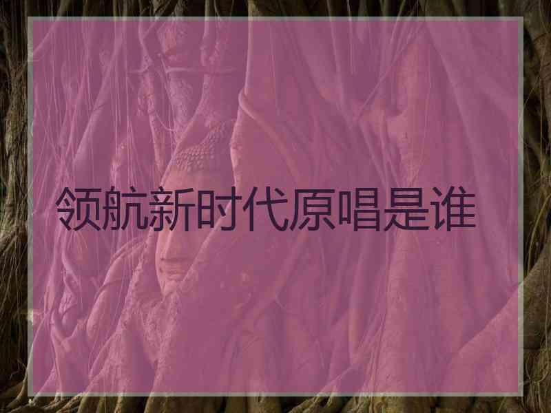 领航新时代原唱是谁