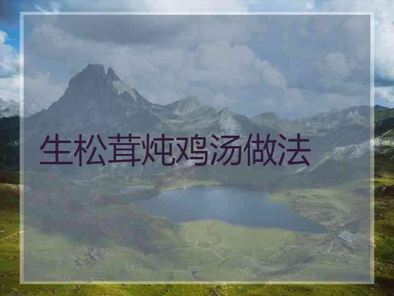 生松茸炖鸡汤做法