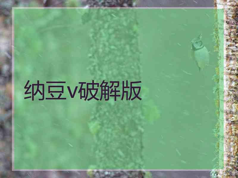 纳豆v破解版