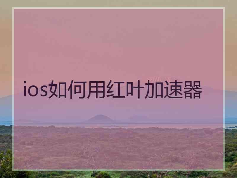 ios如何用红叶加速器