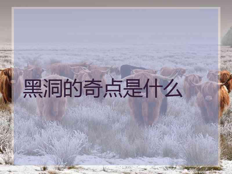 黑洞的奇点是什么