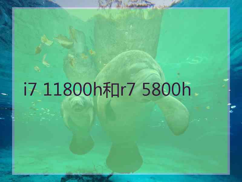 i7 11800h和r7 5800h