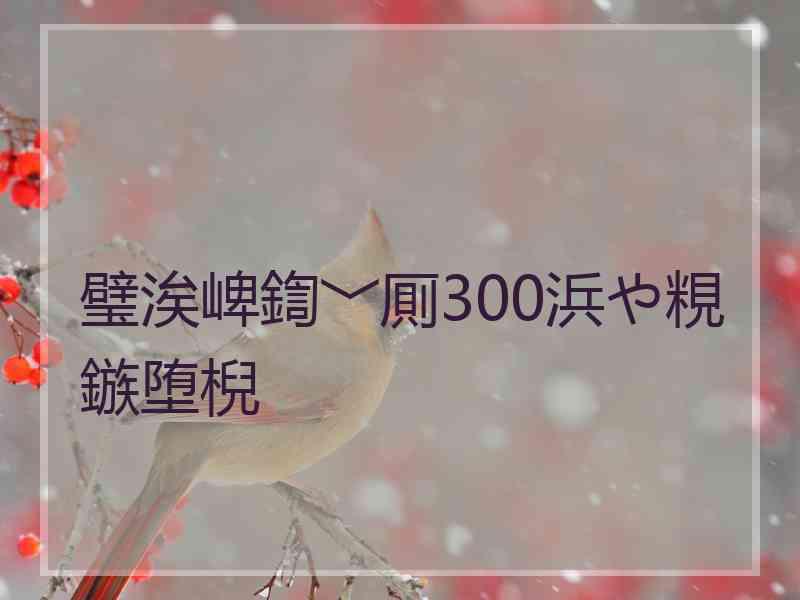 璧涘崥鍧﹀厠300浜や粯鏃堕棿