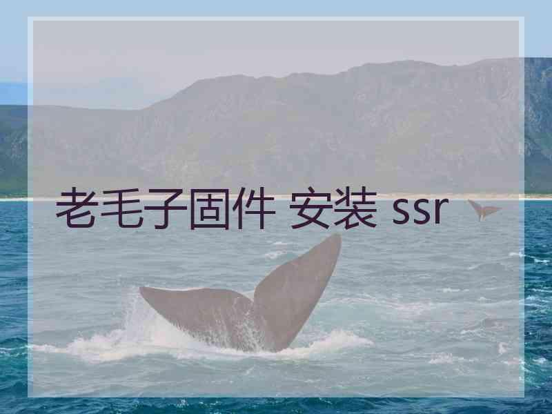 老毛子固件 安装 ssr