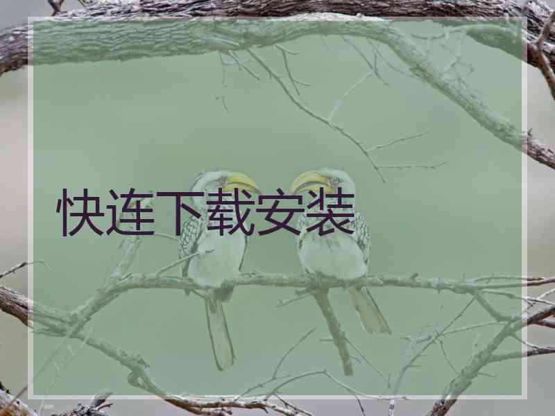 快连下载安装