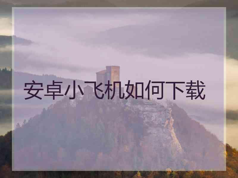 安卓小飞机如何下载