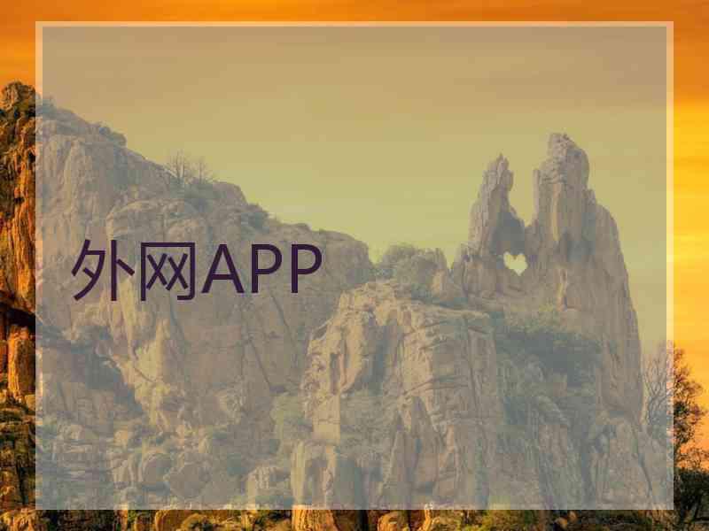外网APP