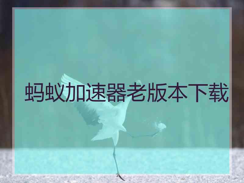 蚂蚁加速器老版本下载