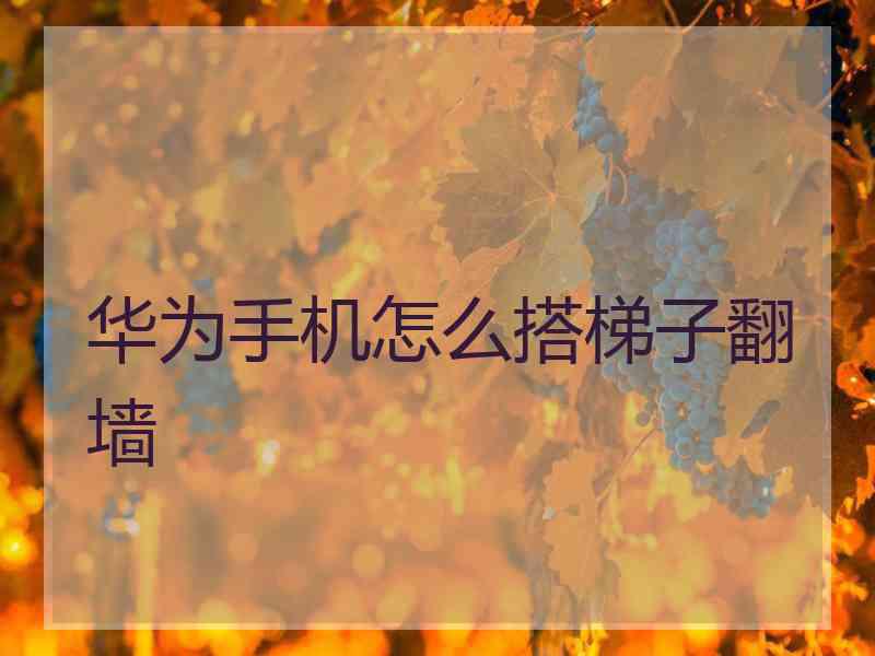 华为手机怎么搭梯子翻墙