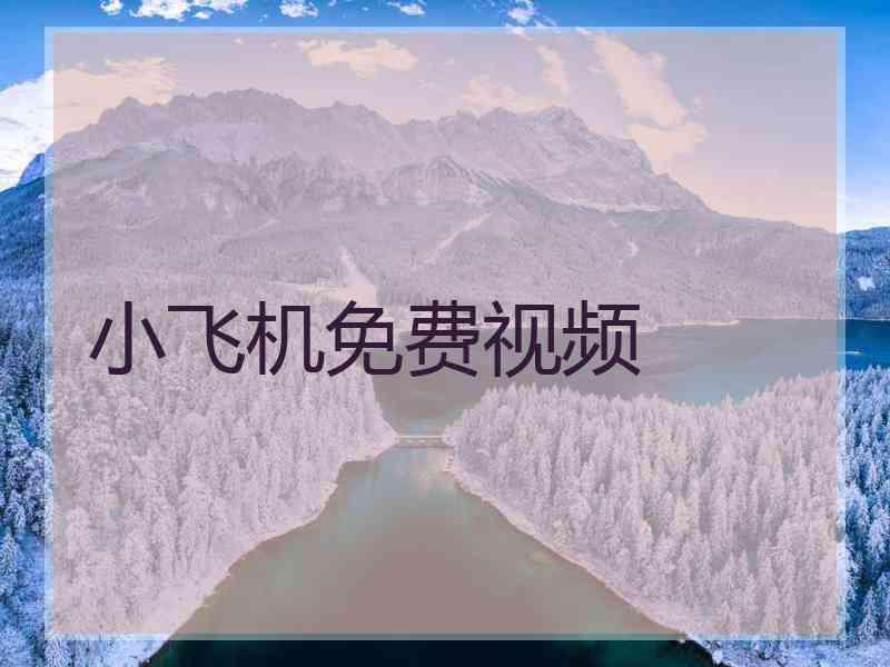 小飞机免费视频