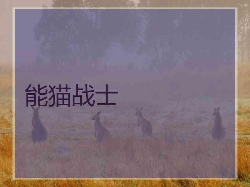 能猫战士