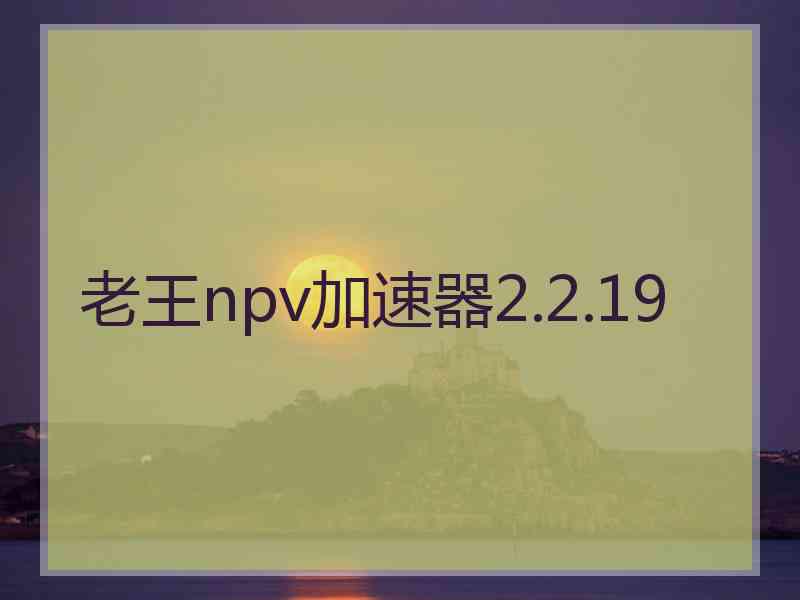 老王npv加速器2.2.19