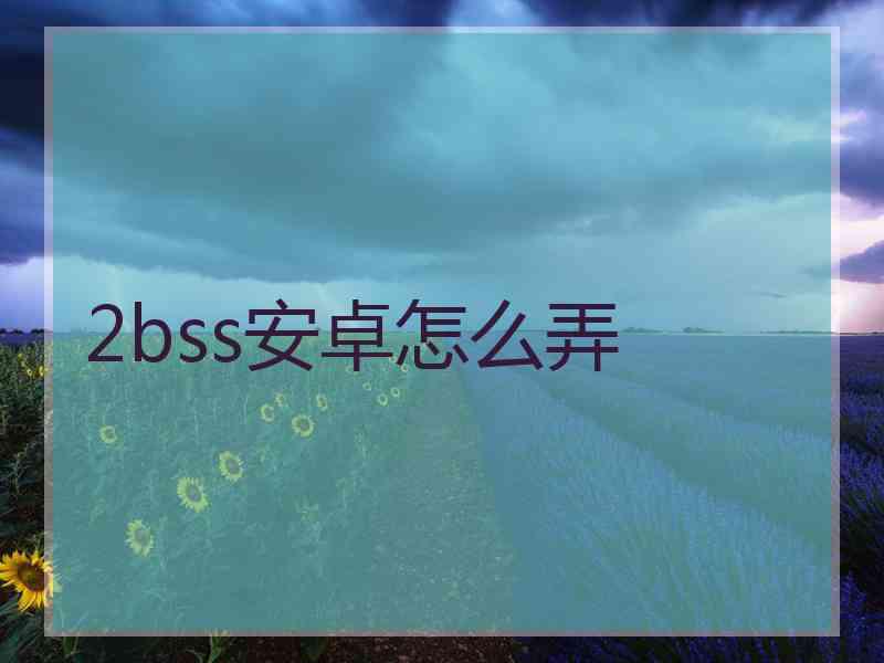 2bss安卓怎么弄