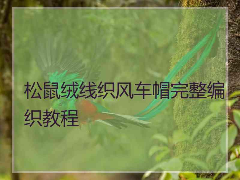 松鼠绒线织风车帽完整编织教程