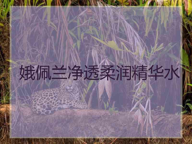 娥佩兰净透柔润精华水