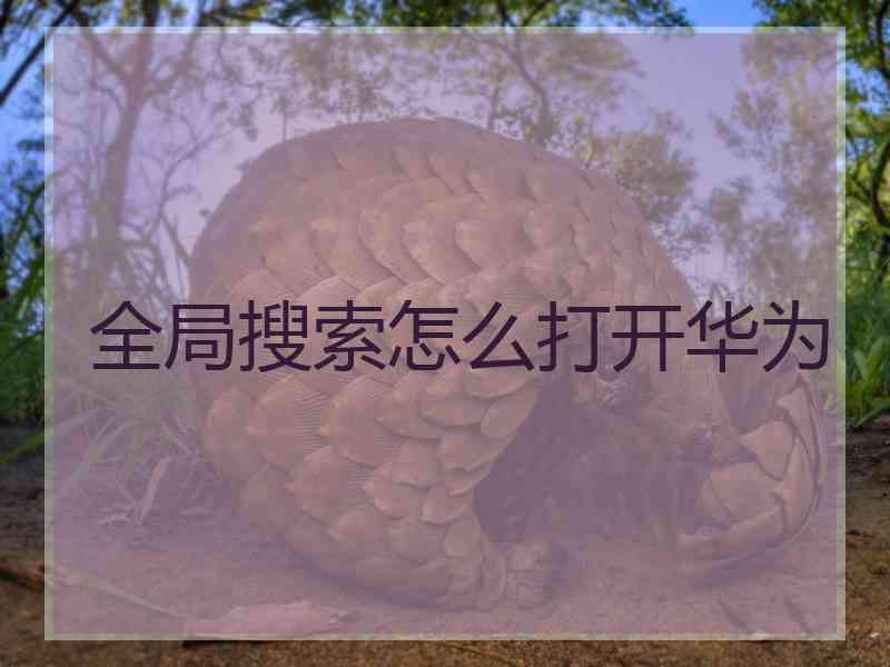 全局搜索怎么打开华为