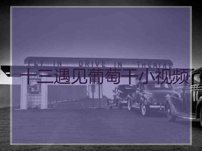 十三遇见葡萄干小视频