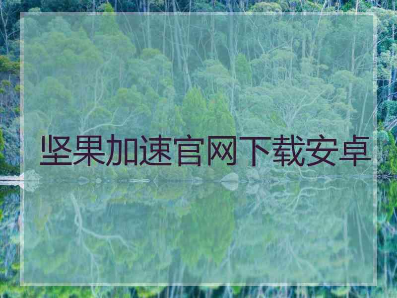 坚果加速官网下载安卓