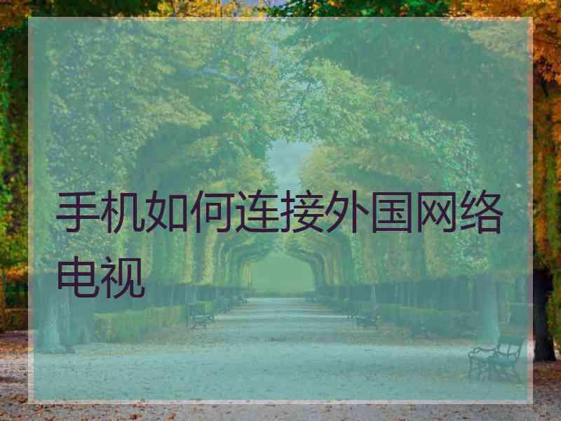 手机如何连接外国网络电视