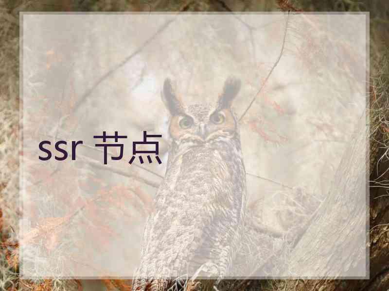 ssr 节点