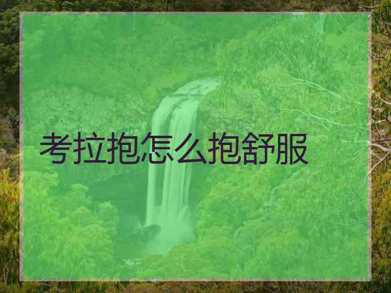 考拉抱怎么抱舒服
