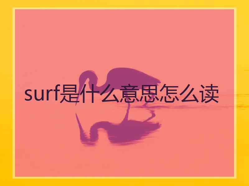 surf是什么意思怎么读