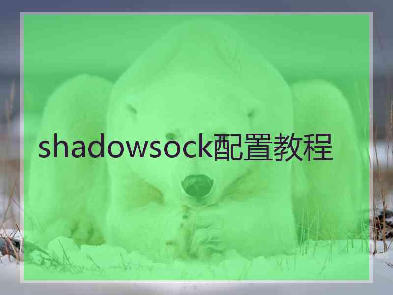 shadowsock配置教程