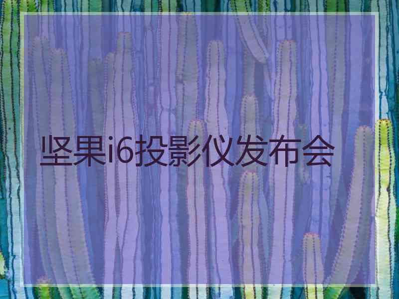 坚果i6投影仪发布会