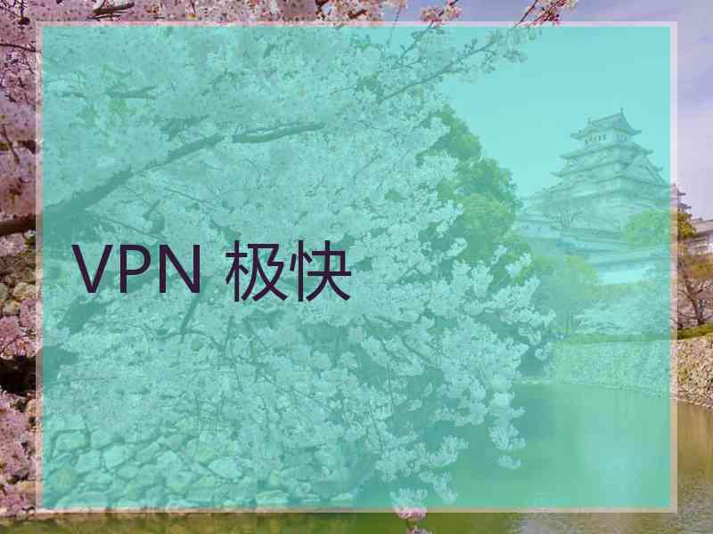 VPN 极快
