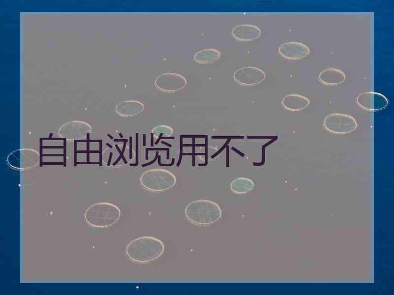 自由浏览用不了
