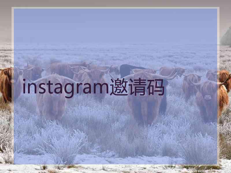 instagram邀请码