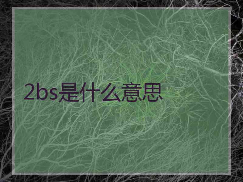 2bs是什么意思