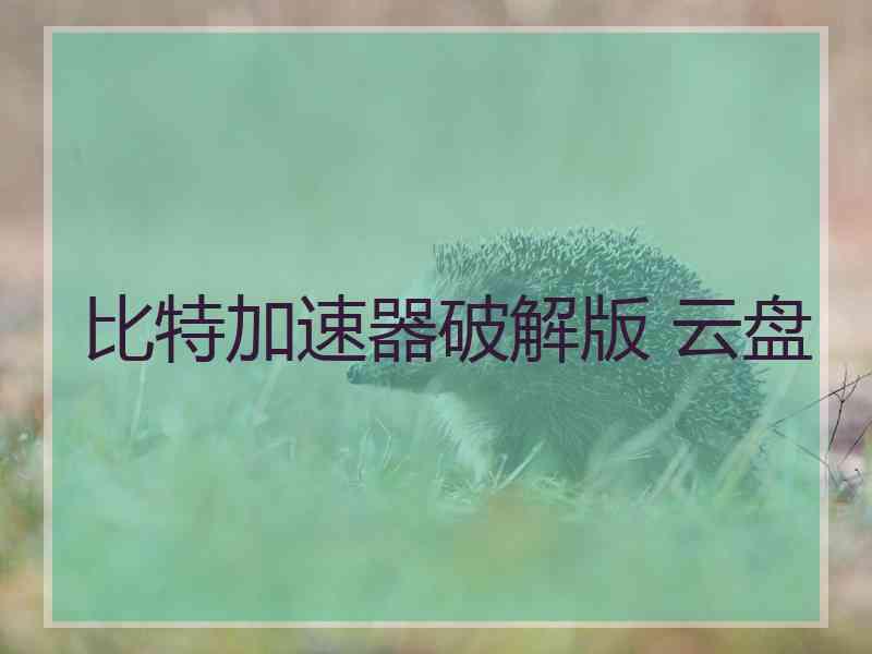 比特加速器破解版 云盘