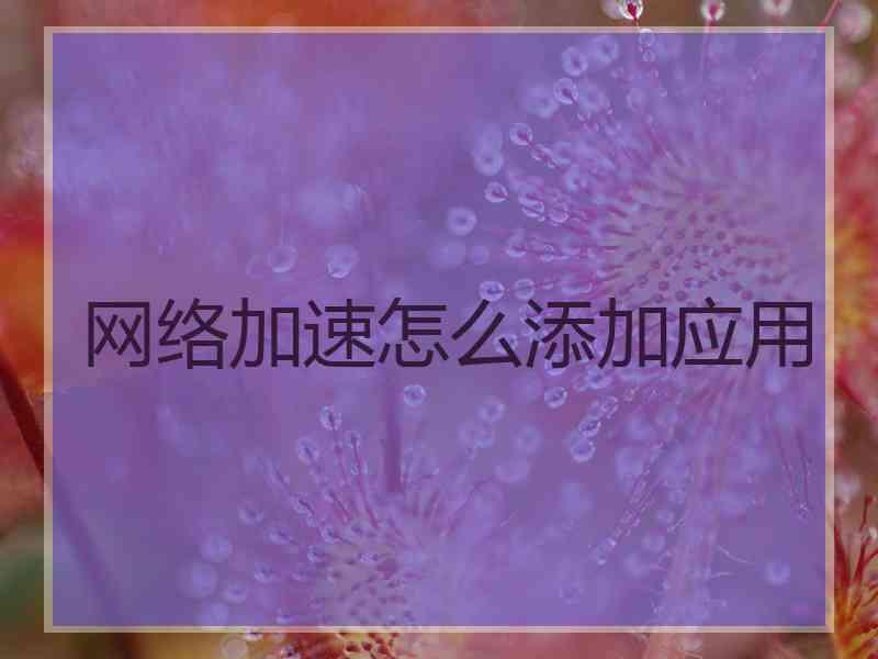 网络加速怎么添加应用