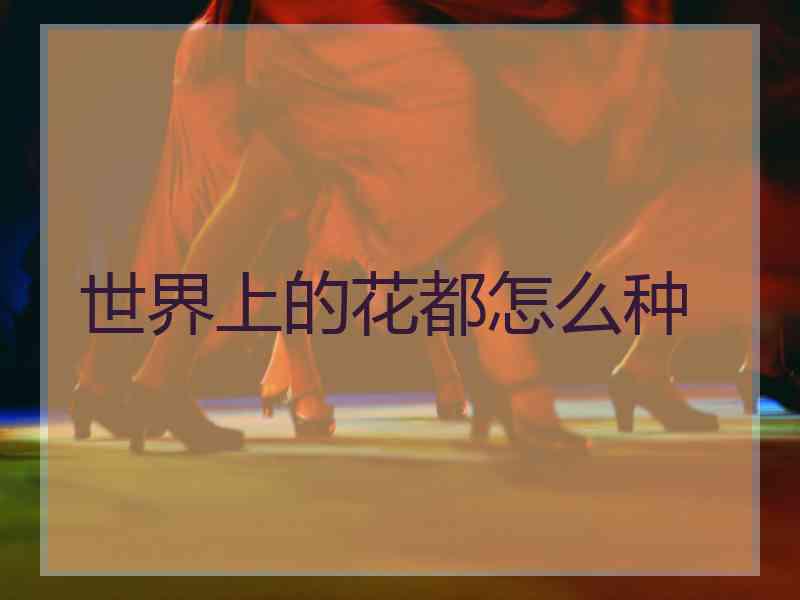 世界上的花都怎么种