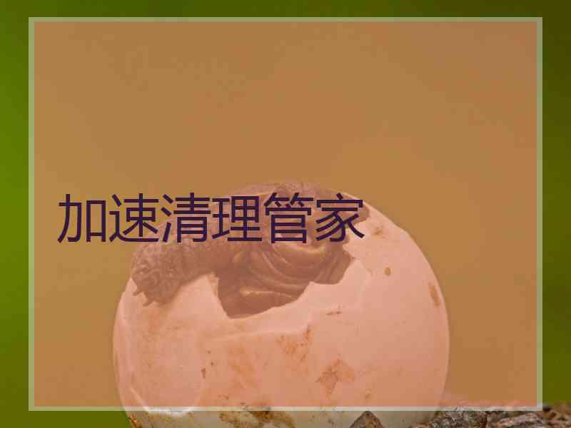 加速清理管家