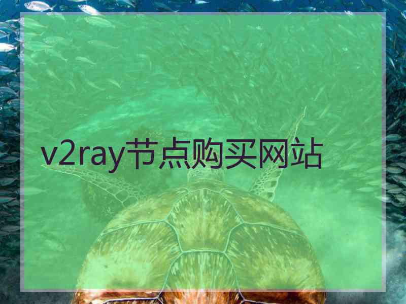 v2ray节点购买网站