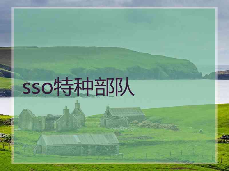 sso特种部队