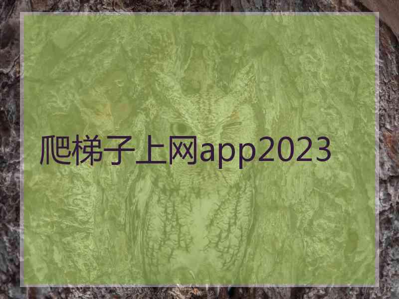 爬梯子上网app2023