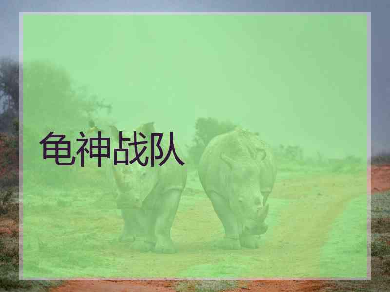 龟神战队