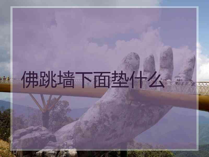 佛跳墙下面垫什么