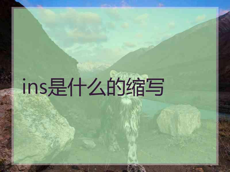 ins是什么的缩写