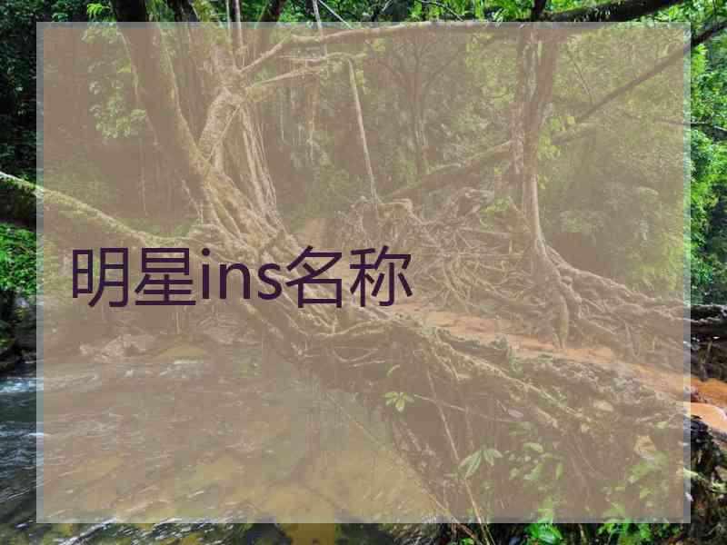明星ins名称
