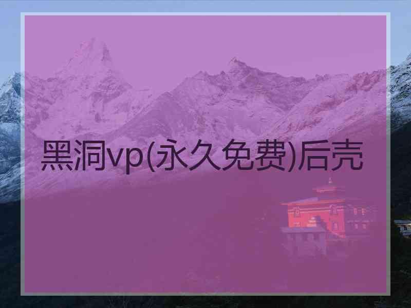 黑洞vp(永久免费)后壳