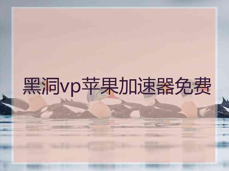 黑洞vp苹果加速器免费