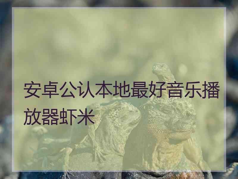 安卓公认本地最好音乐播放器虾米