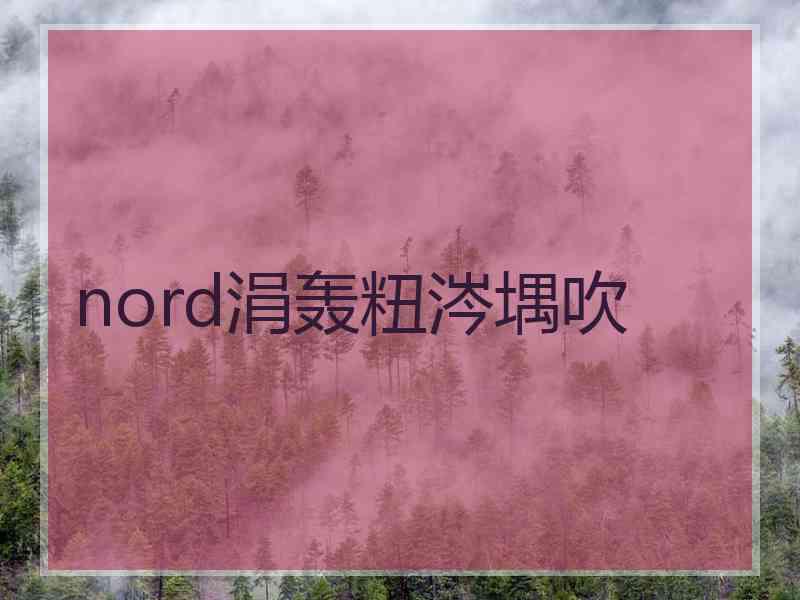 nord涓轰粈涔堣吹