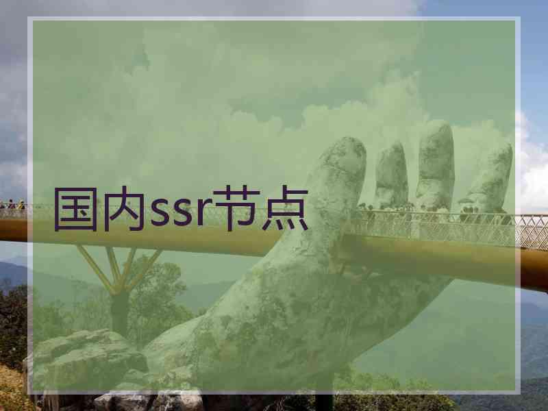 国内ssr节点